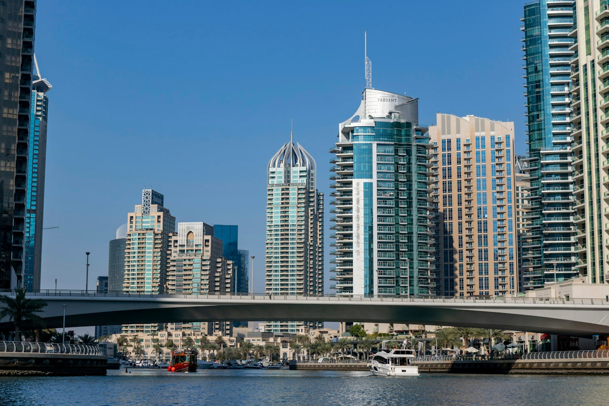 city skyline during night time