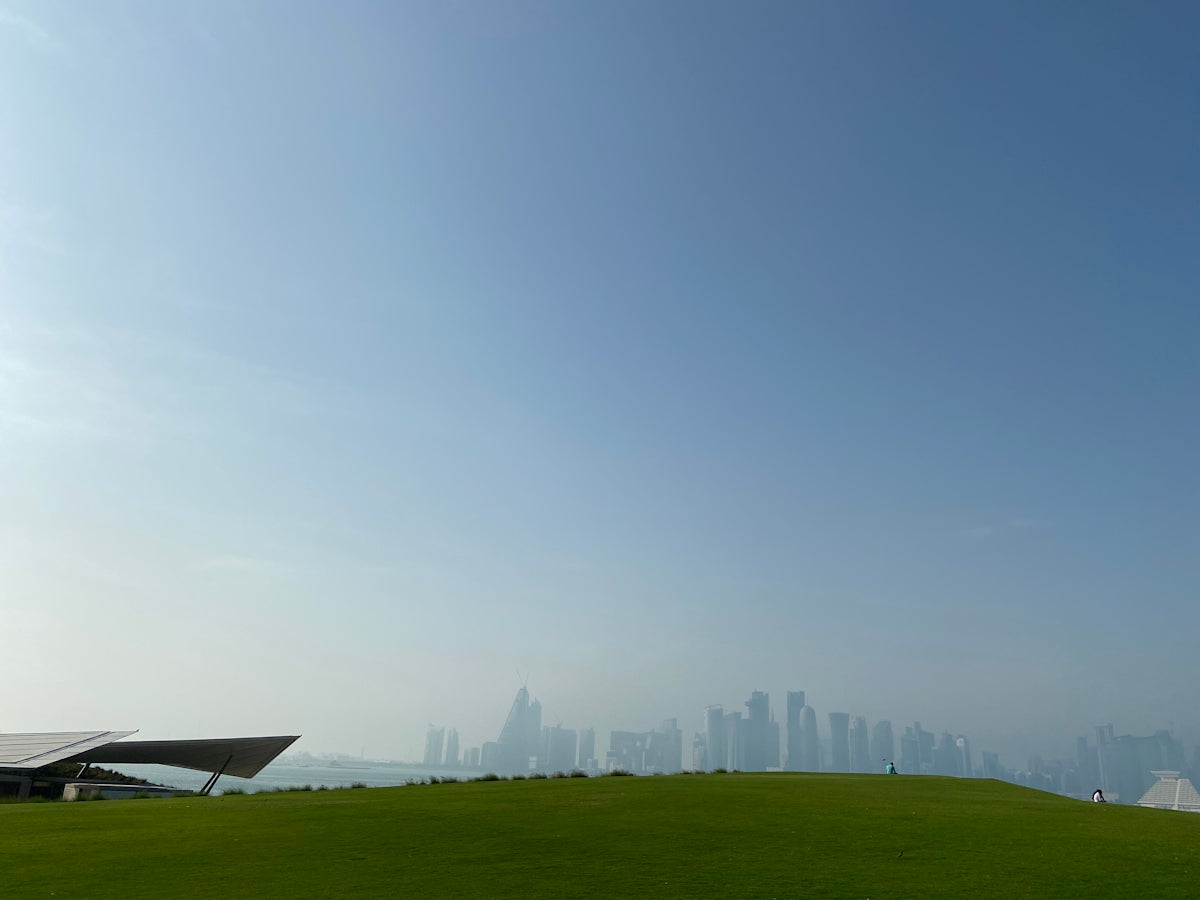 green grass field with fog